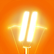Intellect profile