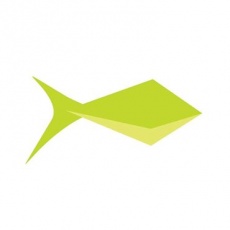 SMARTFISH GROUP profile
