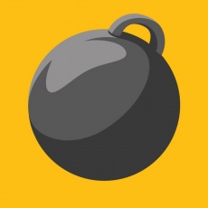Wrecking Ball profile