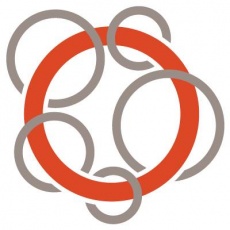 Mogo Interactive profile